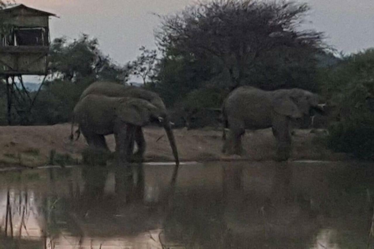 Kubu Khaya Mabalingwe Villa Mabula Game Reserve Kültér fotó