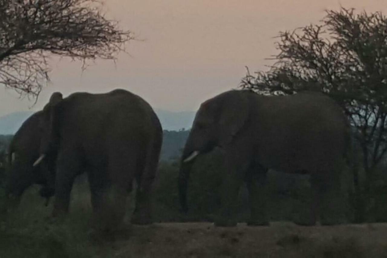 Kubu Khaya Mabalingwe Villa Mabula Game Reserve Kültér fotó
